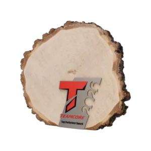 Custom made trophy for Teamcore